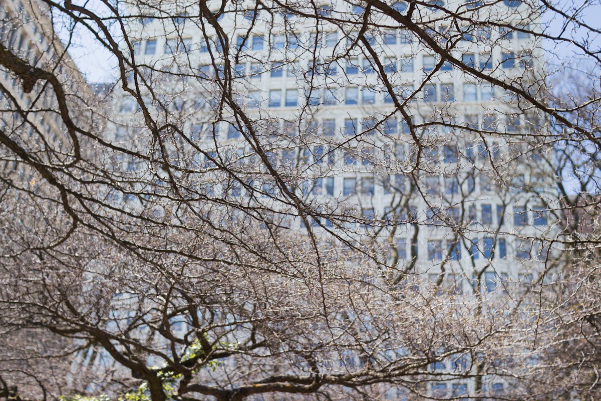 Prenotazione noleggio da smartphone